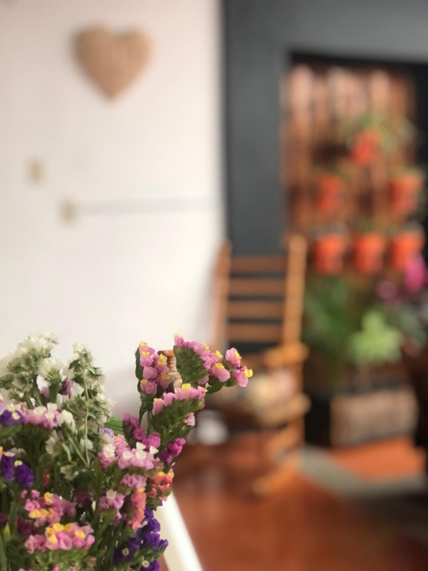 Hostal Casa Gaia San Cristóbal de Las Casas Dış mekan fotoğraf