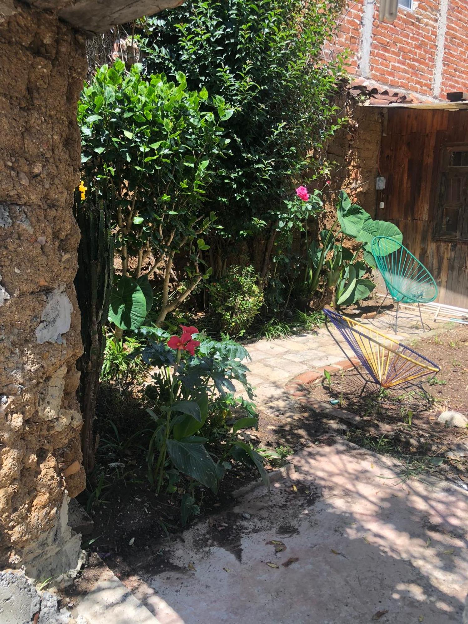 Hostal Casa Gaia San Cristóbal de Las Casas Dış mekan fotoğraf