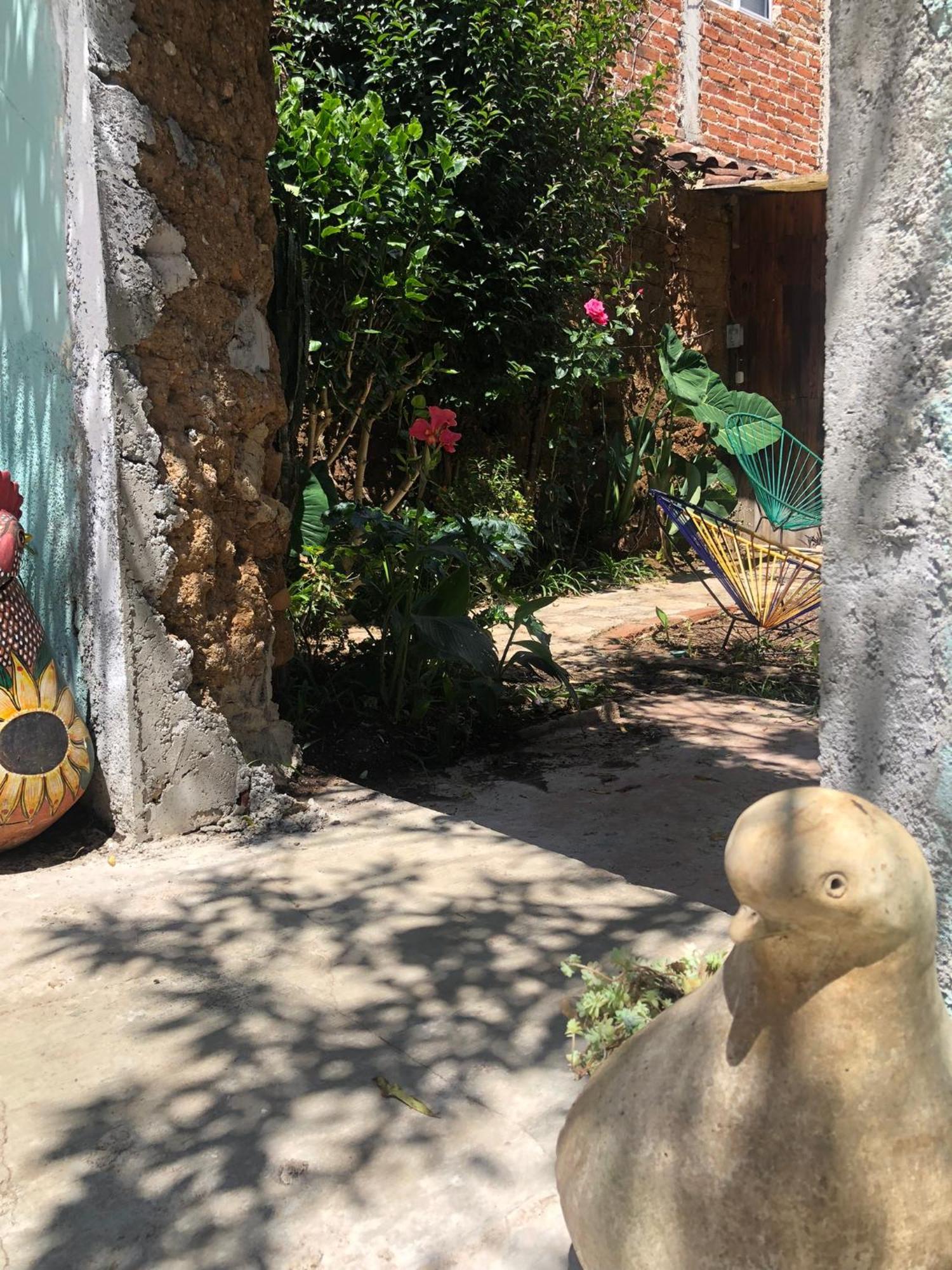 Hostal Casa Gaia San Cristóbal de Las Casas Dış mekan fotoğraf